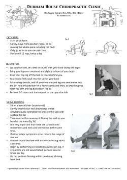 CAT CAMEL - Start on all fours - Slowly move from position (fig1a) to