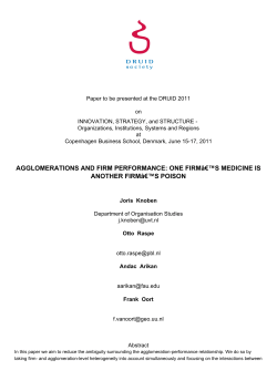 AGGLOMERATIONS AND FIRM PERFORMANCE: ONE