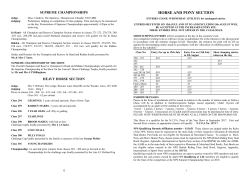 horse and pony section