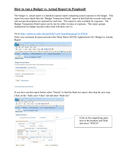 Budget vs Actual Report Instructions
