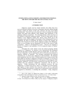 INTERNATIONAL HUMAN RIGHTS AND INDIGENOUS PEOPLES