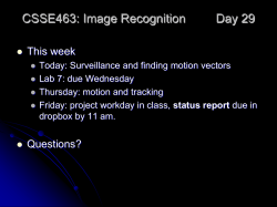 29 Motion1 - Rose