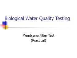Biological Water Quality Testing