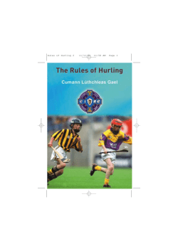 Rules of Hurling 2