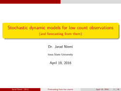 Niemi Stochastic Dynamic Models