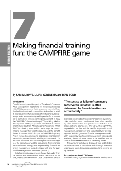 7Making financial training fun: the CAMPFIRE game