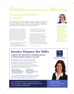 Growing Small Firms in Ireland