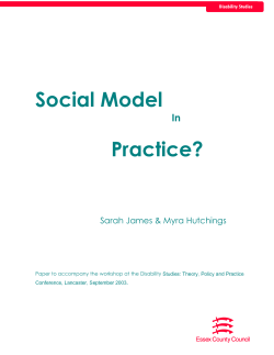 Social Model Practice?