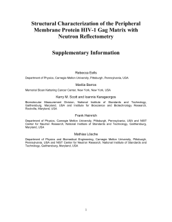 Structural Characterization of the Peripheral Membrane Protein HIV