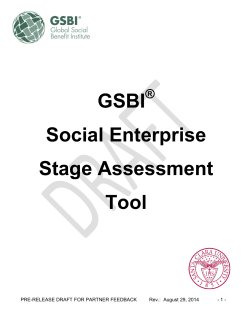 GSBI SE Assessment Tool