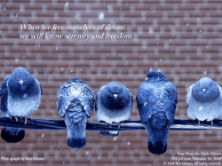 23 Hypothesis Test using p