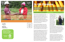 Please consider a Donation to Village Gardens and build community
