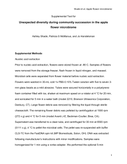 Unexpected diversity during community succession