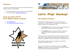 Let`s! Play! Hockey!