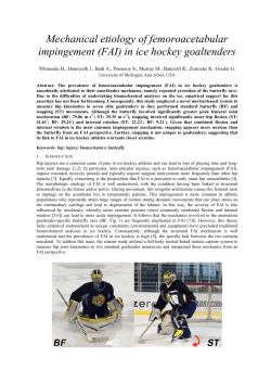 (FAI) in ice hockey goaltenders