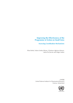 Improving the Effectiveness of the Programme of Action on