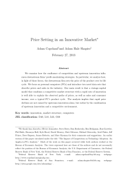 Price Setting and Rapid Technology Adoption