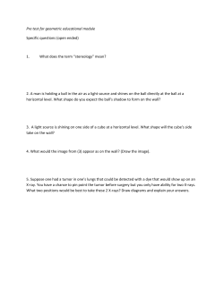 MS WORD