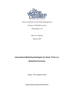 International Marketing Strategies for Small Firms in a Globalized