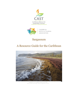 Sargassum A Resource Guide for the Caribbean