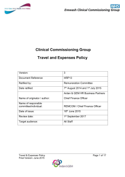 Template Executive Summary