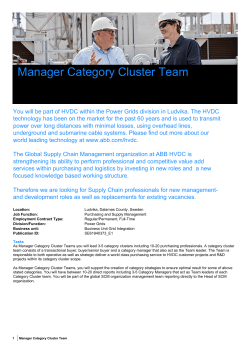 Manager Category Cluster Team