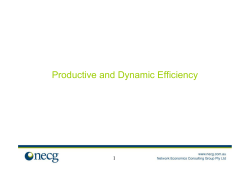 Productive and Dynamic Efficiency