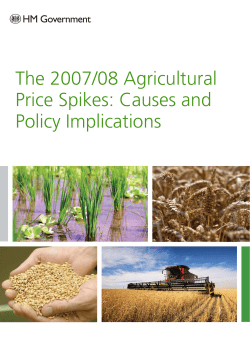 The 2007/08 Agricultural Price Spikes: Causes and