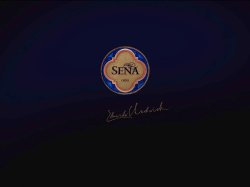 Presentación de PowerPoint