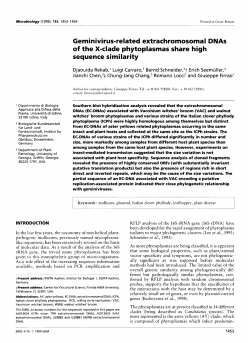 Geminivirus-related extrachromosomal DNAs of the X