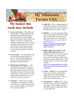The newsletter