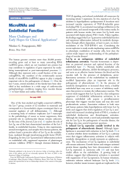 MicroRNAs and Endothelial Function