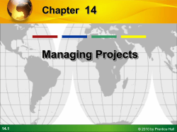 Managing Project Risk Management Information Systems Chapter 14