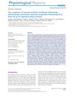 The response of muscle protein synthesis following whole‐body