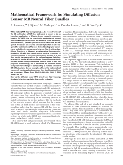 Mathematical framework for simulating diffusion tensor MR neural