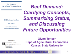 Beef Demand