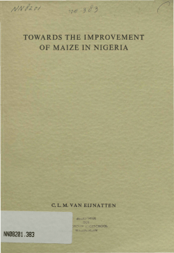 */W~fa*s nA, 3/3 TOWARDS THE IMPROVEMENT OF MAIZE IN