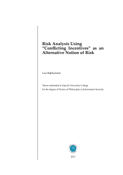 Risk Analysis Using &ldquo;Conflicting Incentives&rdquo; as an Alternative Notion