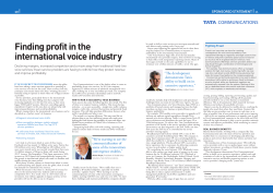 finding profit in the international voice industry