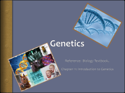 Genetics - Denton ISD
