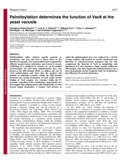 Palmitoylation determines the function of Vac8 at the yeast