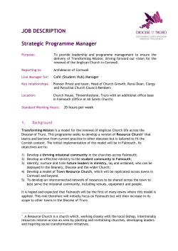 JOB DESCRIPTION Strategic Programme Manager