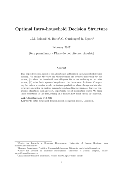 Optimal Intra-household Decision Structure