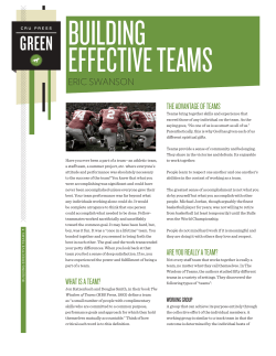 eric swanson what is a team? the advantage of teams are you