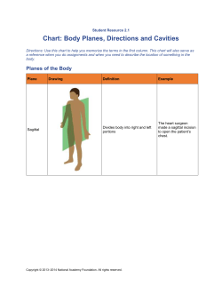 Body Planes, Directions and Cavities