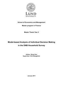 Model-based Analysis of Individual Decision Making in the DNB