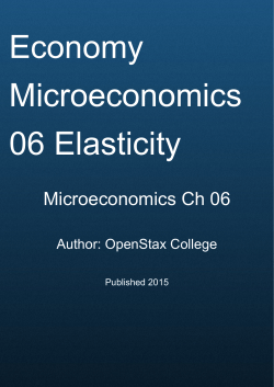 Microeconomics Ch 06