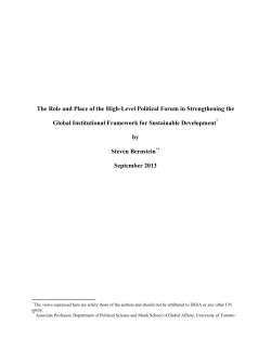 The Role and Place of the High-Level Political Forum