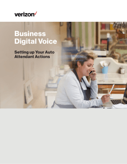 Setup Auto Attendant Actions