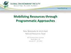 Focal Area and Cross Cutting Strategies &ndash; Chemicals